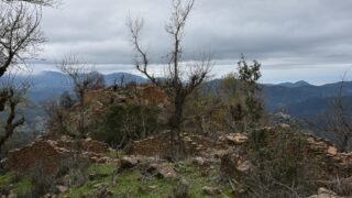 Sortie pedagogique au site patrimoniale Ibarissen au profit des etudiants du palier licence 1 Architecture le 07 mars 2023133 1