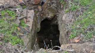 Sortie pedagogique au site patrimoniale Ibarissen au profit des etudiants du palier licence 1 Architecture le 07 mars 2023146 1