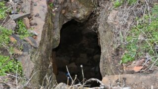 Sortie pedagogique au site patrimoniale Ibarissen au profit des etudiants du palier licence 1 Architecture le 07 mars 2023147 1