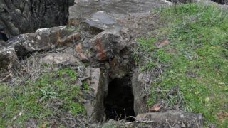 Sortie pedagogique au site patrimoniale Ibarissen au profit des etudiants du palier licence 1 Architecture le 07 mars 2023148 1