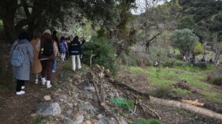 Sortie pedagogique au site patrimoniale Ibarissen au profit des etudiants du palier licence 1 Architecture le 07 mars 2023150 1