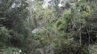 Sortie pedagogique au site patrimoniale Ibarissen au profit des etudiants du palier licence 1 Architecture le 07 mars 2023159 1