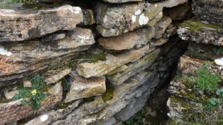 Sortie pedagogique au site patrimoniale Ibarissen au profit des etudiants du palier licence 1 Architecture le 07 mars 2023177 1