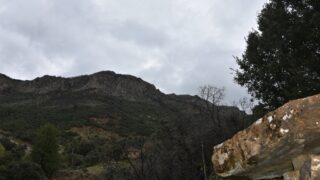 Sortie pedagogique au site patrimoniale Ibarissen au profit des etudiants du palier licence 1 Architecture le 07 mars 2023184 1