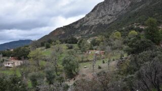 Sortie pedagogique au site patrimoniale Ibarissen au profit des etudiants du palier licence 1 Architecture le 07 mars 2023194 1