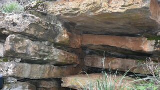 Sortie pedagogique au site patrimoniale Ibarissen au profit des etudiants du palier licence 1 Architecture le 07 mars 2023195 1