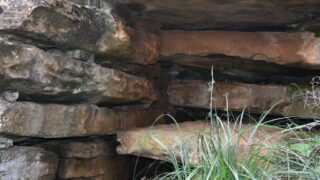 Sortie pedagogique au site patrimoniale Ibarissen au profit des etudiants du palier licence 1 Architecture le 07 mars 2023196 1