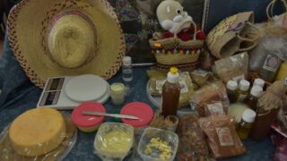 Célébration de la journée internationale de la femme, par la faculté de technologie. 168 Celebration de la journee internationale de la femme par la faculte de technologie le 07 mars 2024113