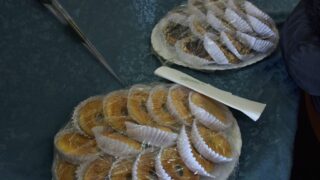 Célébration de la journée internationale de la femme, par la faculté de technologie. 178 Celebration de la journee internationale de la femme par la faculte de technologie le 07 mars 202480