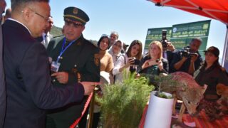 visite du ministre de lenseignement superieur Pr BADDARI 25 avril 2024 0263