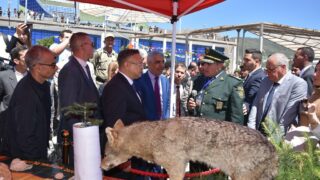 visite du ministre de lenseignement superieur Pr BADDARI 25 avril 2024 0266